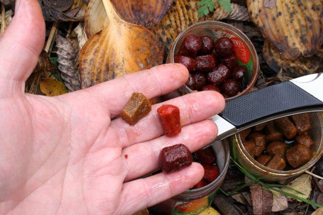 Boilies de 20mm pe timp de iarna